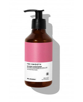 Кондиціонер для гладкості Elgon Yes Smooth So Sleek Conditioner
